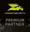 hornetsecurity-150x150 hornetsecurity-150x150